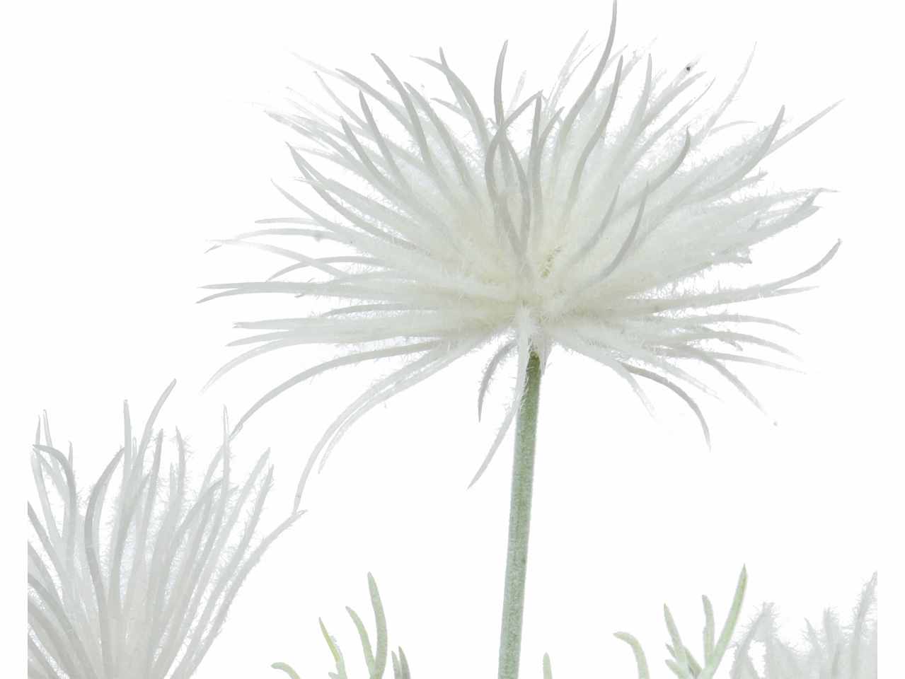 Fiore h.65cm bianco 804058