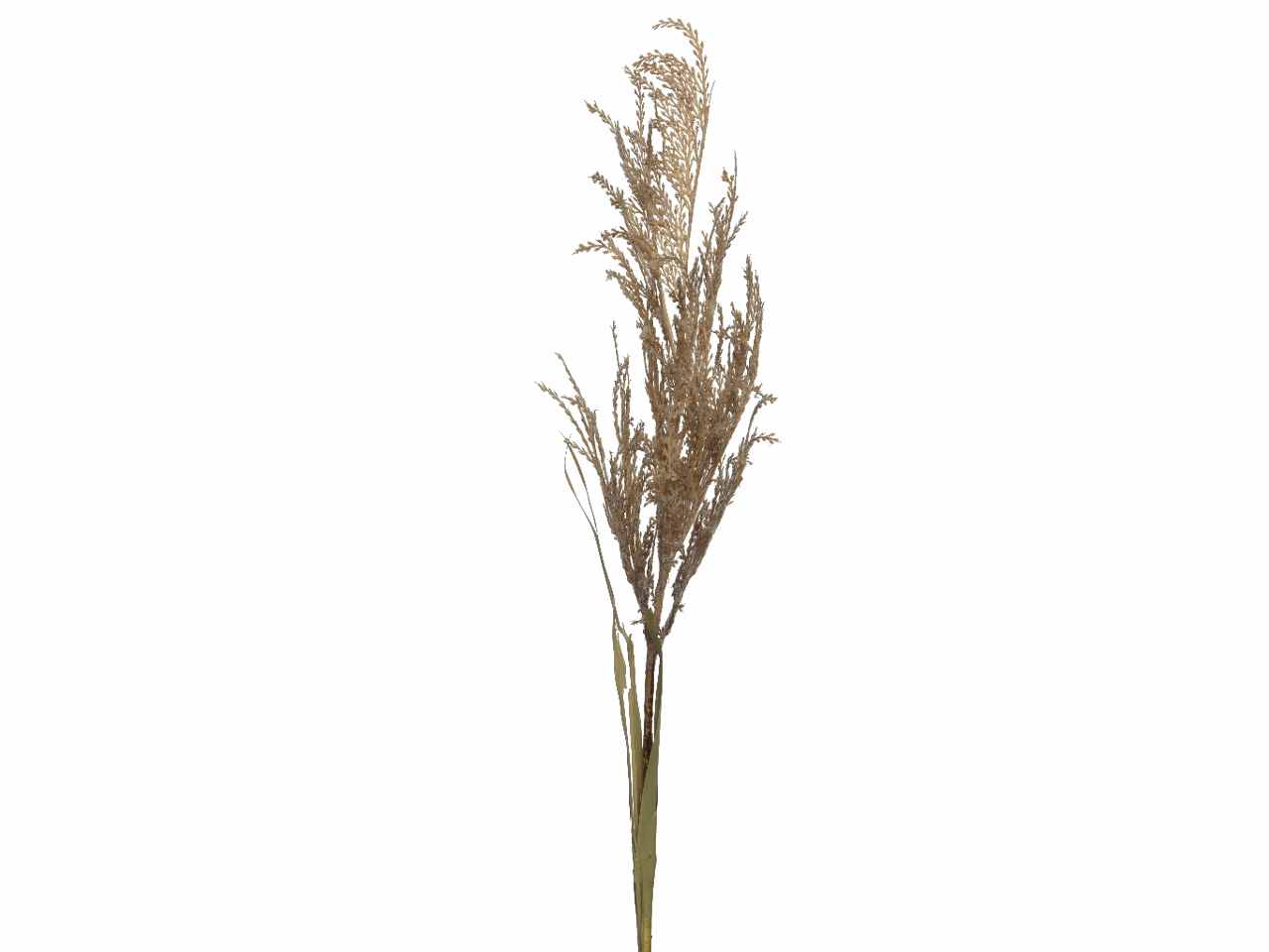Grano spruzzata marrone h.102cm 804330