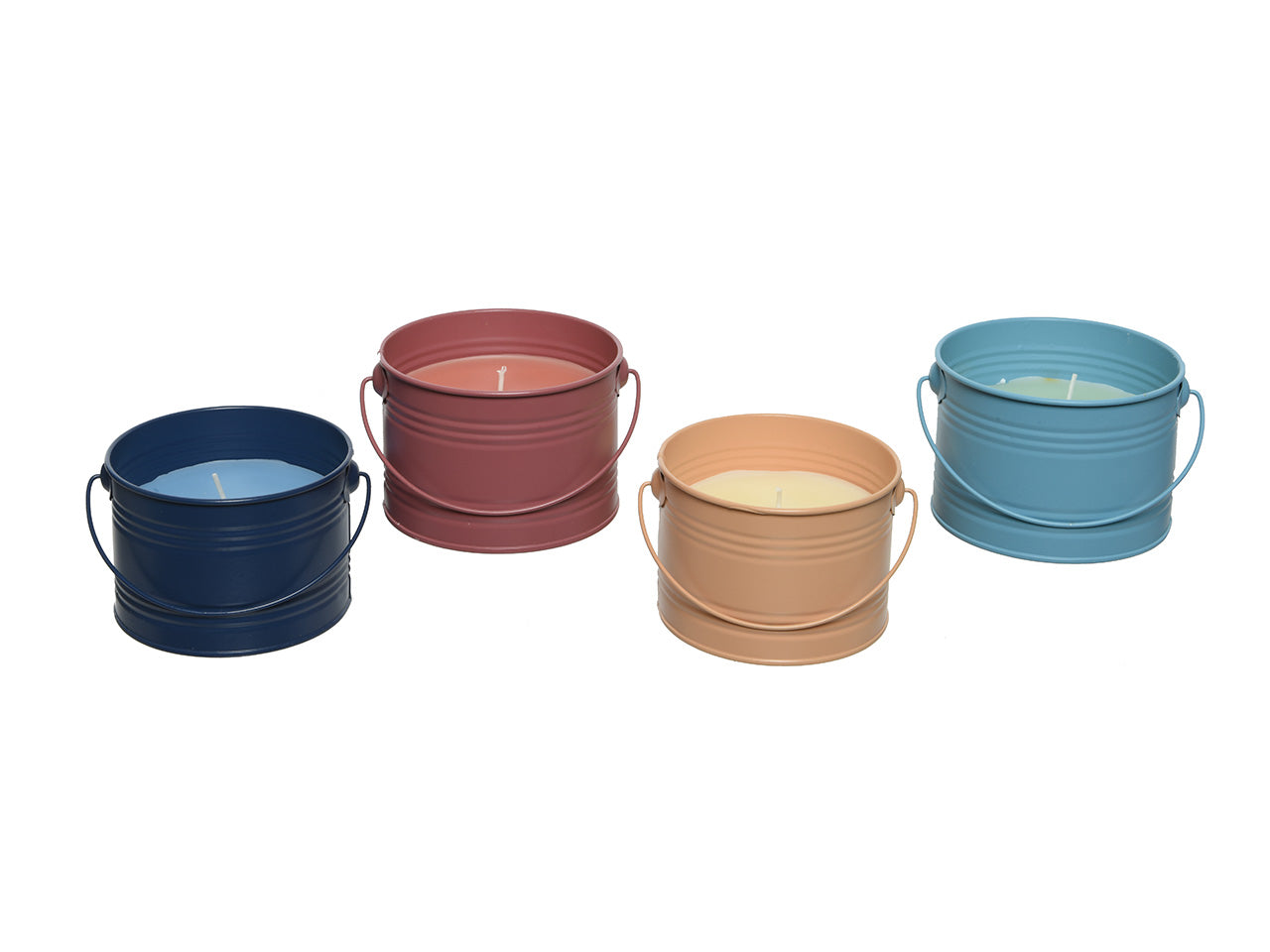 Citronella in vaso di latta h6cm 889582