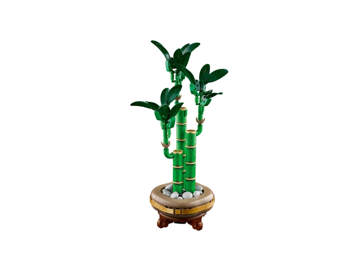 Lego Botanicals bambÃ¹ del buon auspicio 325 pezzi per etÃ  18+ 10344