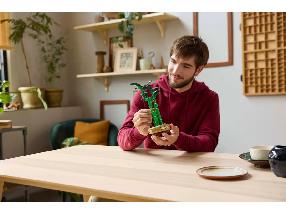 Lego Botanicals bambÃ¹ del buon auspicio 325 pezzi per etÃ  18+ 10344
