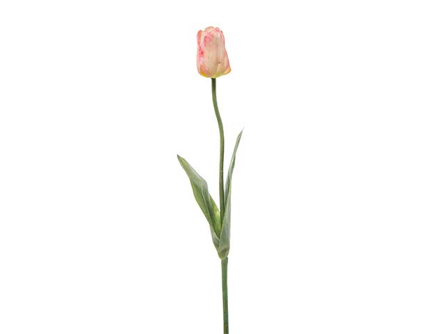 Tulipano artificiale realistico color crema - 63 cm