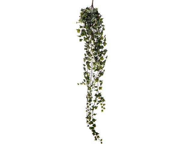 Edera cadente 180cm verde a22063