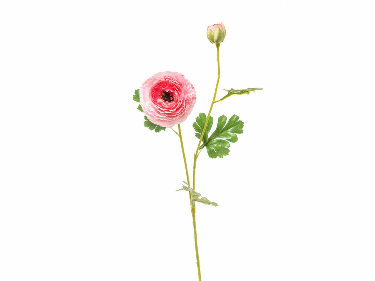 Ranuncolo x2 h74cm rosa a22000