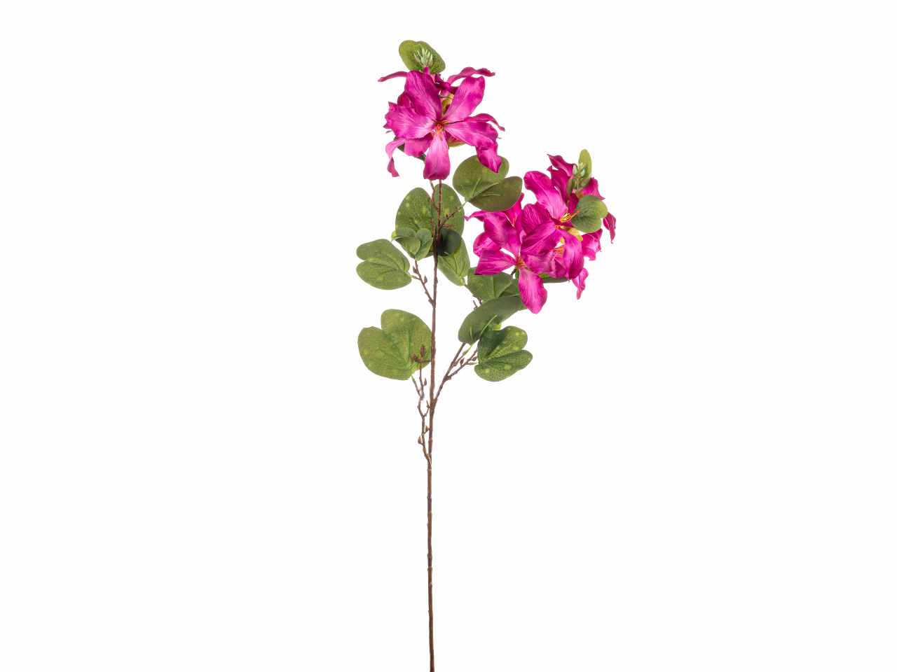 Tralcio bauhinia 90cm fucsia a26530