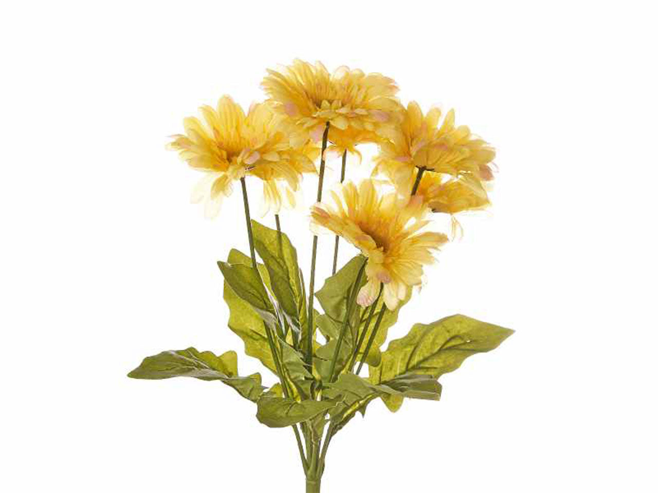 Mazzo di gerbere colore giallo x 7