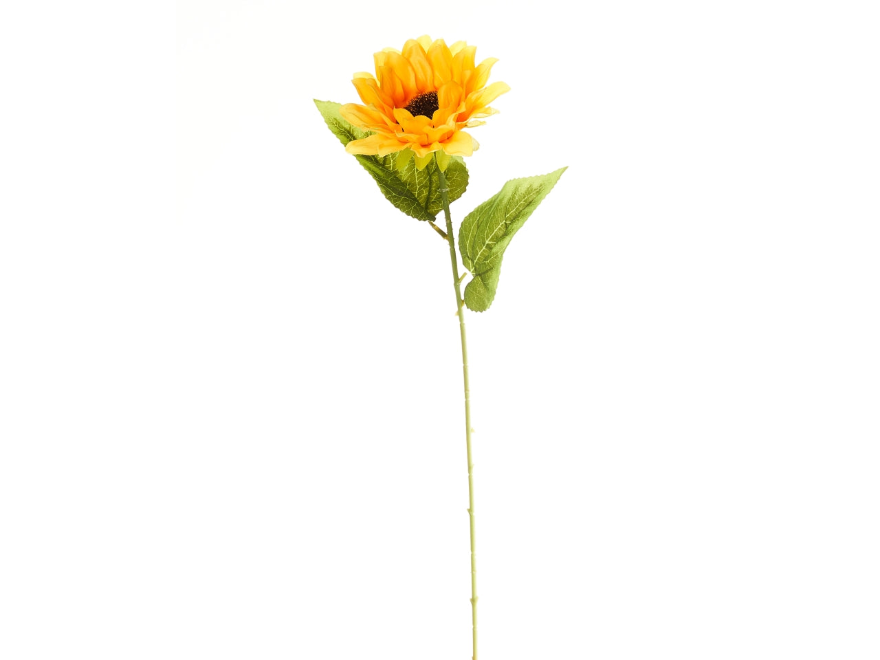 Girasole misura 47cm d.12cm