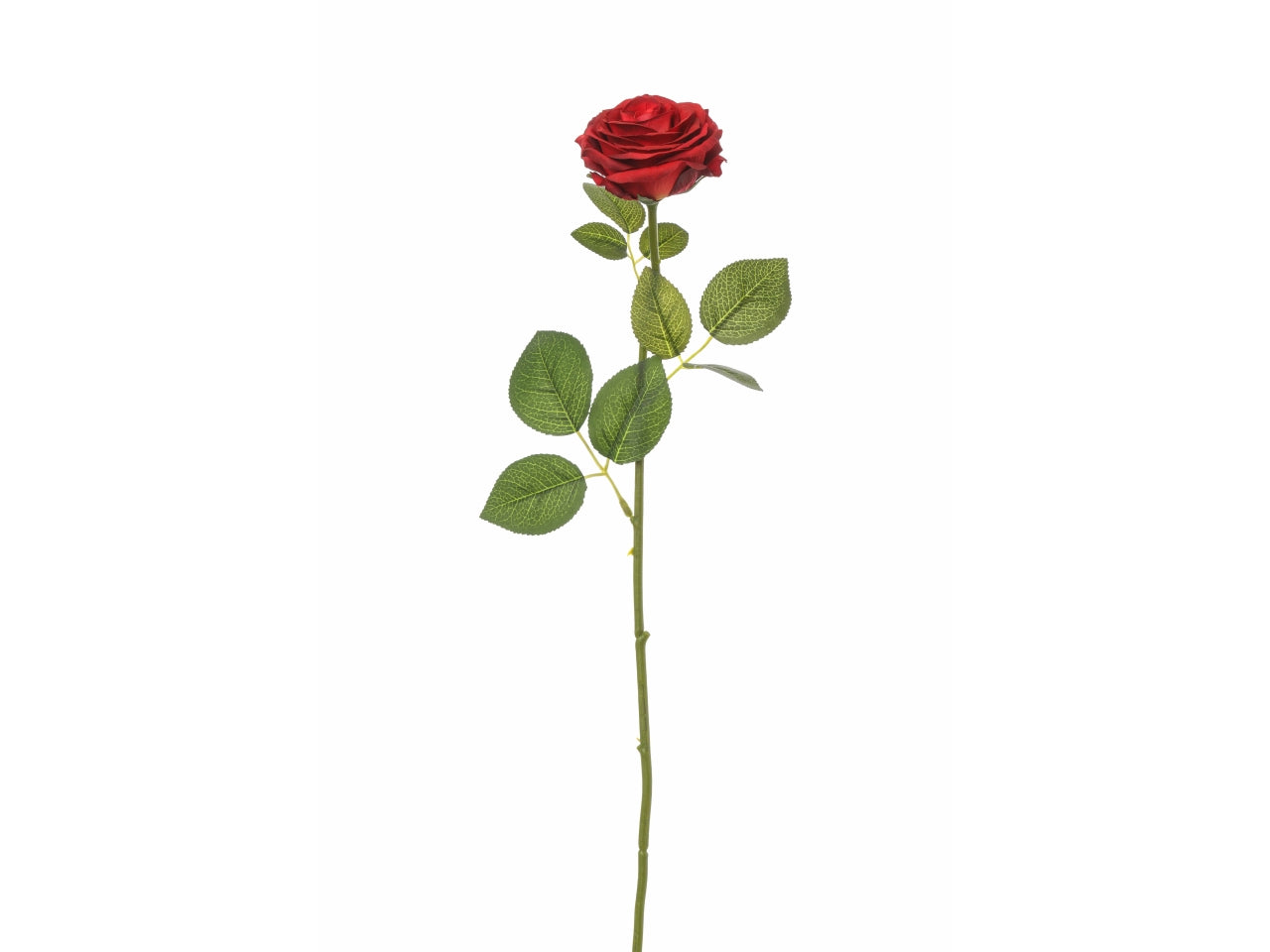 Rosa bea 68cm colore rosso