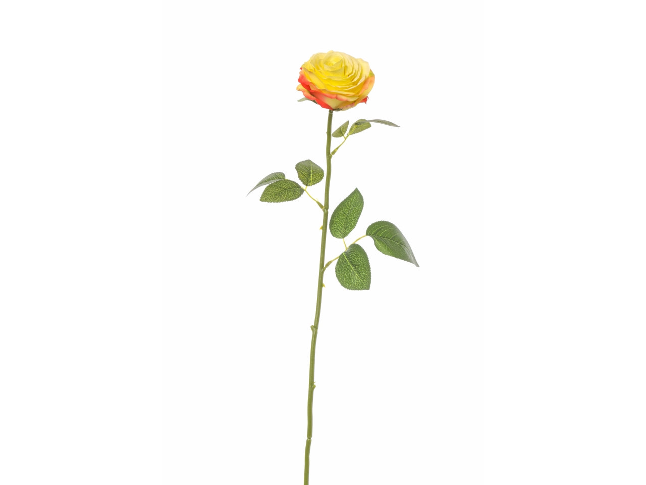 Rosa bea 68cm colore giallo