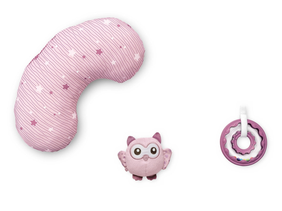 Chicco gioco fd enjoy colors playgym pink
