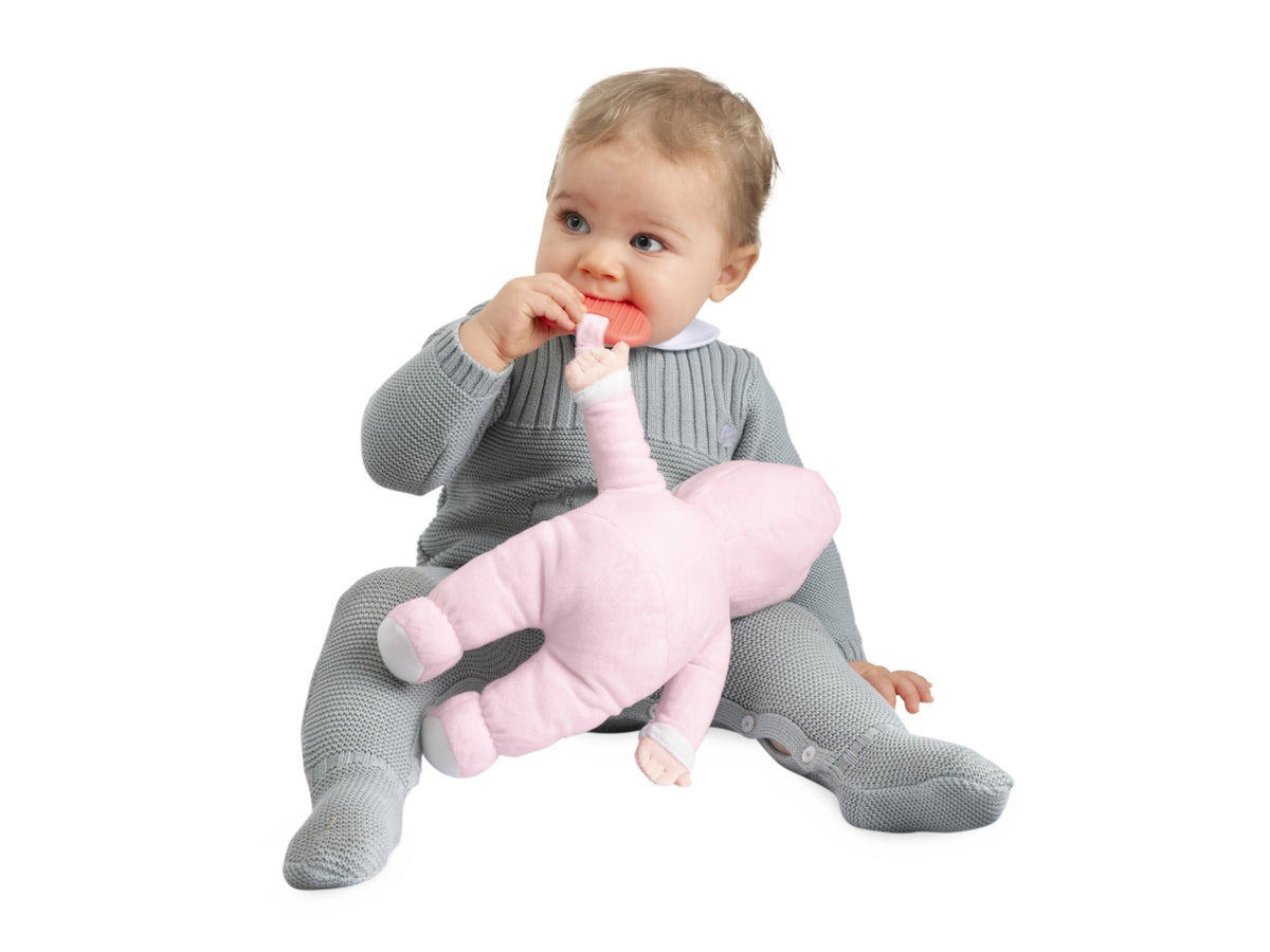 Chicco La Prima Bambola Rosa in Plastica, EtÃ  0+ Mesi, Dimensioni 22x11x30 cm