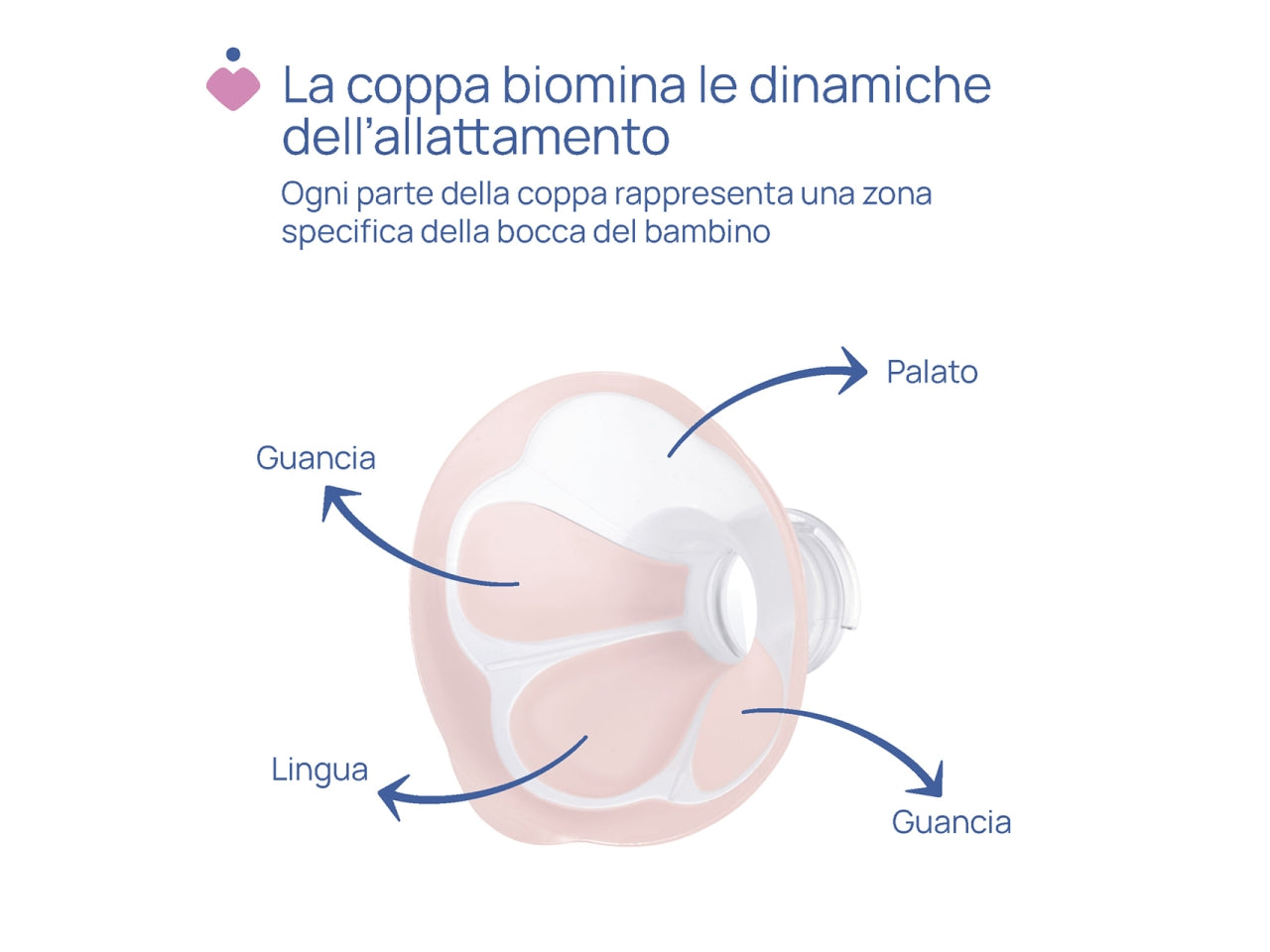 Stimolatte tiralatte elettrico, Adatto per 0+ mesi | Chicco