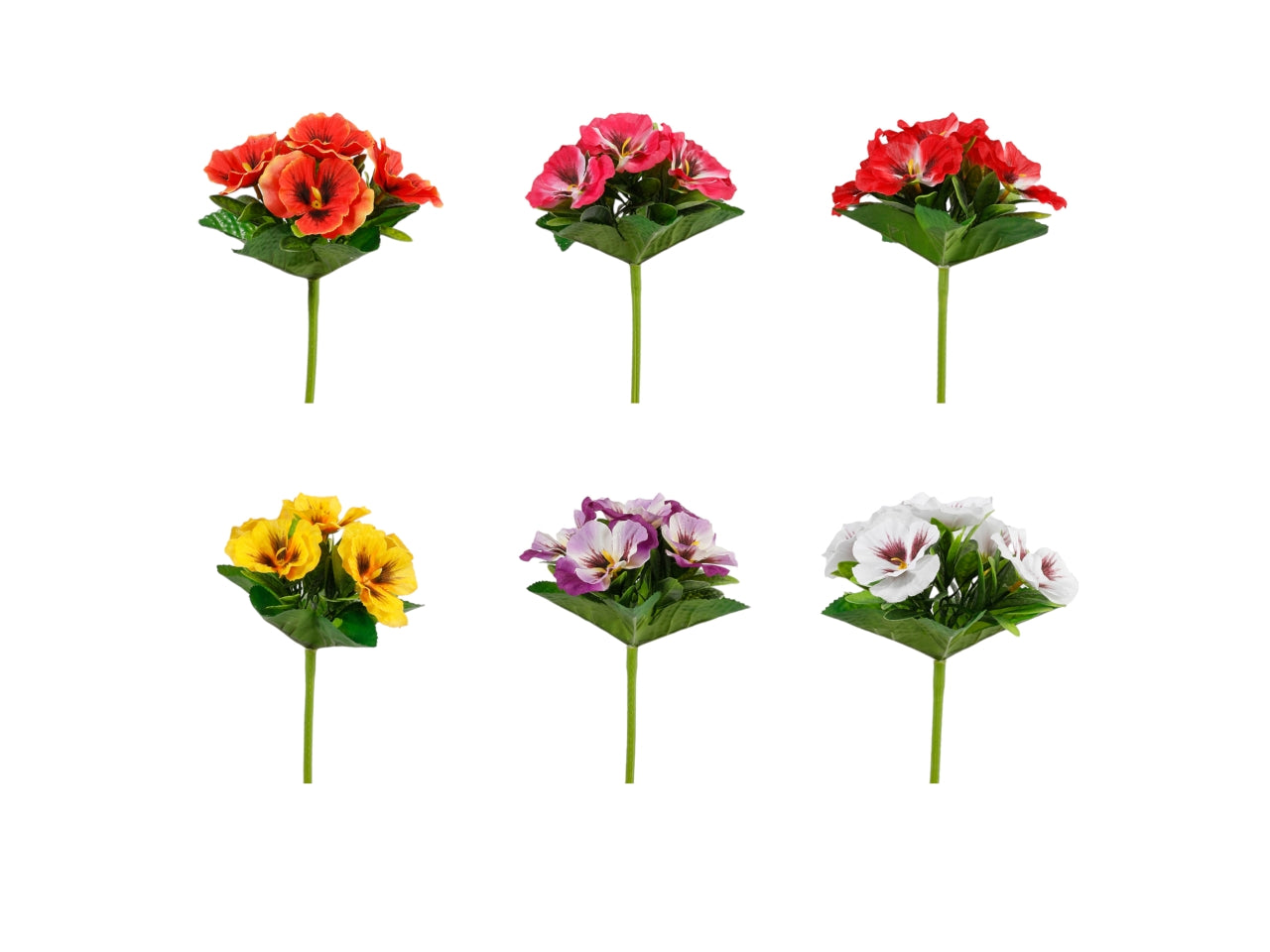 Mazzetto panse' 21cm in 6 varianti di colori