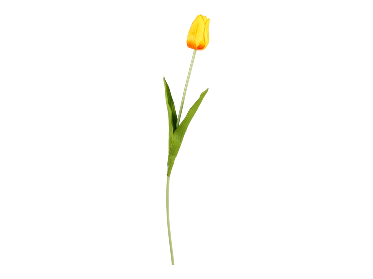 Tulipano ramo singolo 50cm in vari colori assortiti