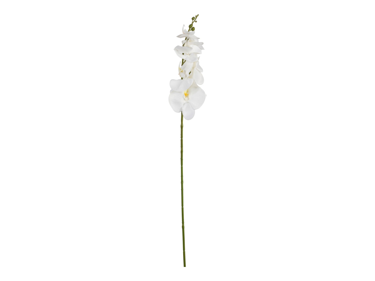 Ramo di phalaenopsis 85cm bianco