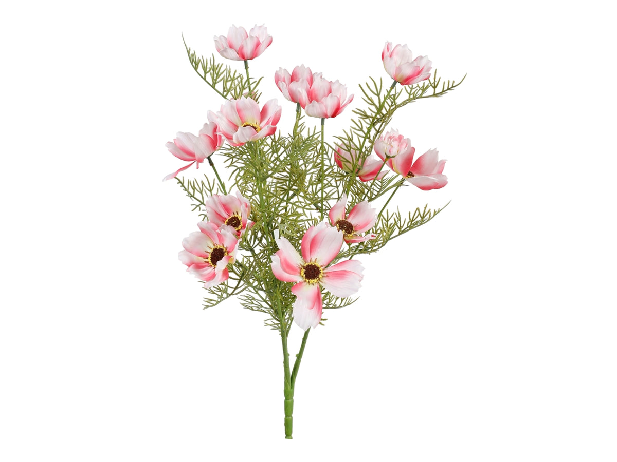 Mazzetto con 15 cosmos sfumato rosa