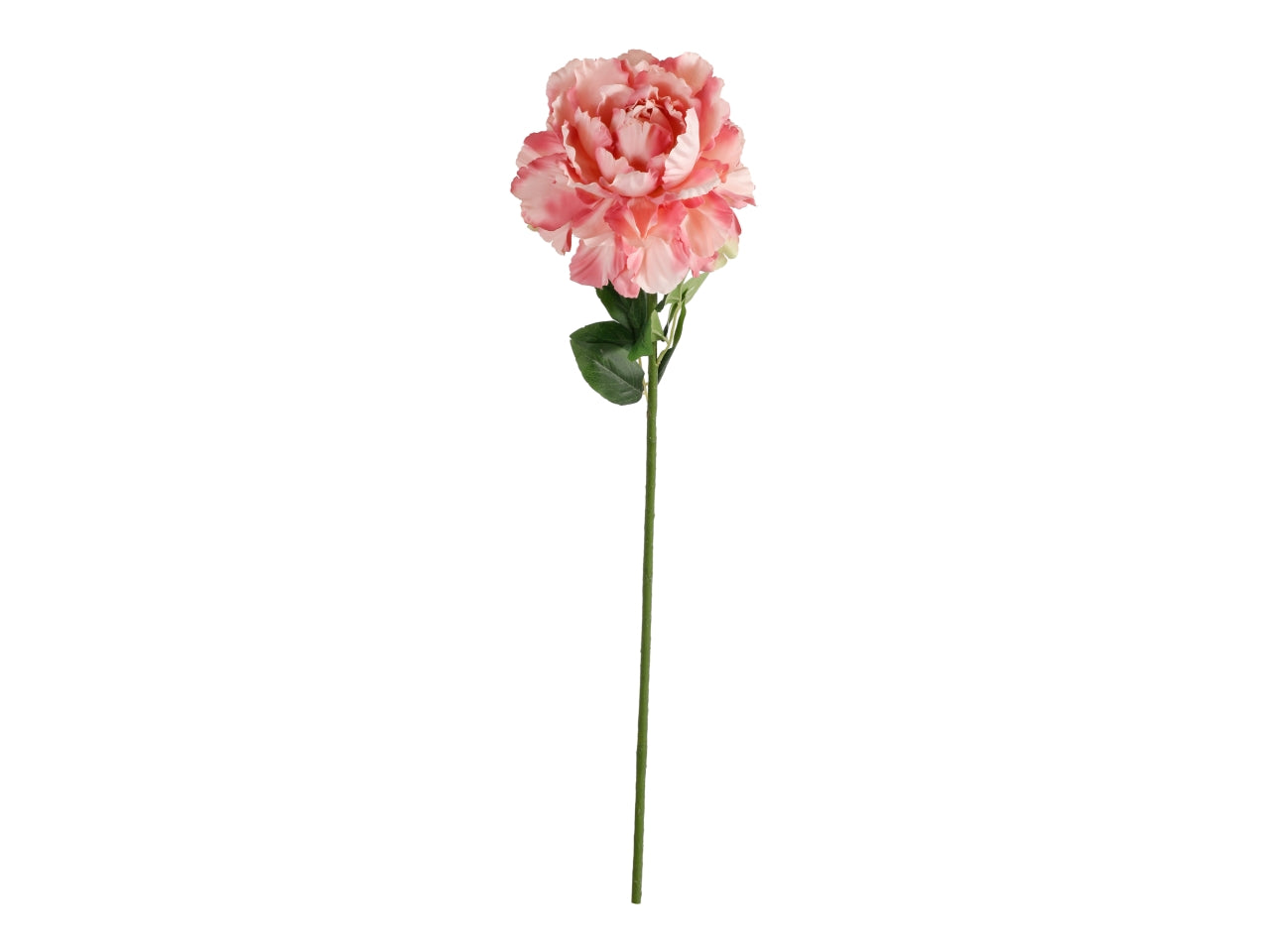 Peonia ramo singolo 100cm sfumata rosa