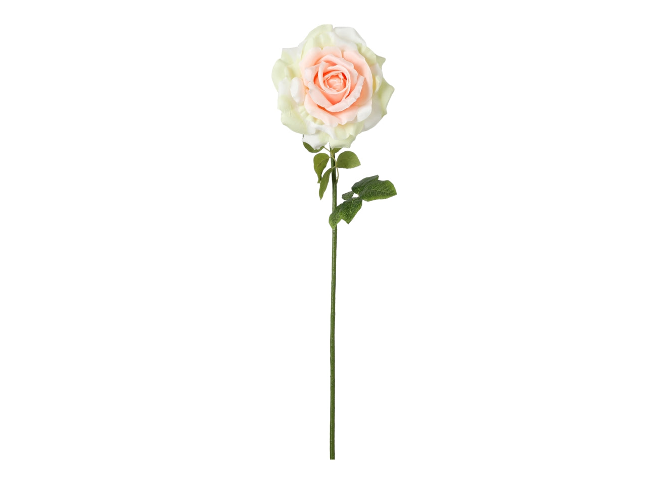 Rosa ramo singolo 100cm sfumata rosa