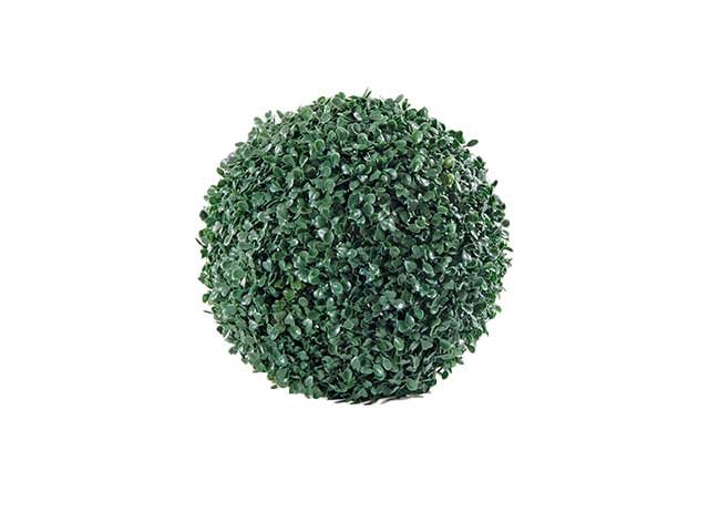 Sempreverde deauville 21cm 790/79