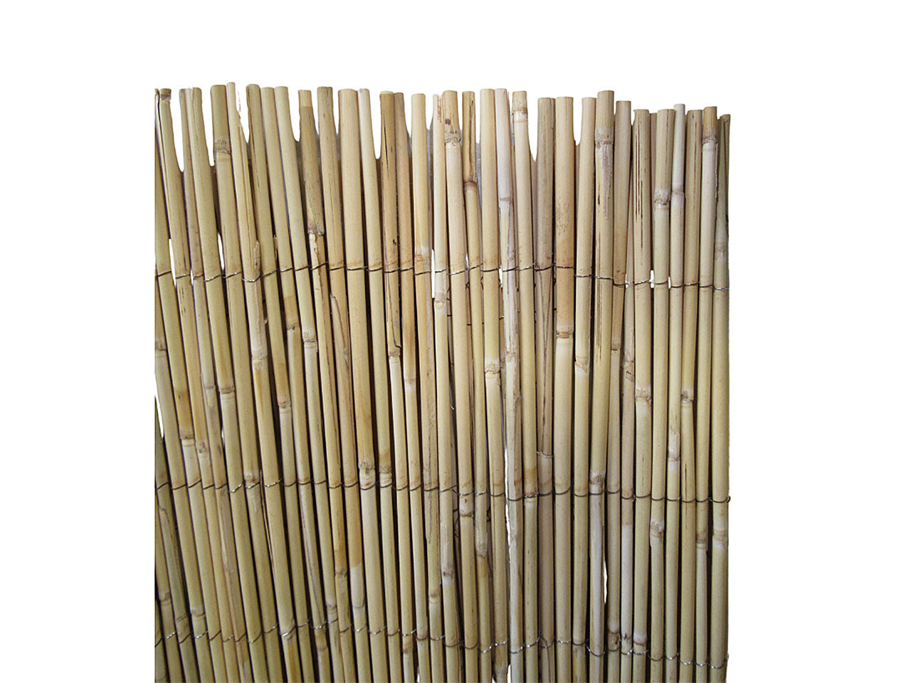 Arella cina 1x3mt premium quality
