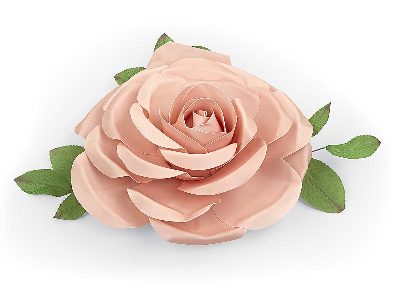 Rosa rosa 29026m