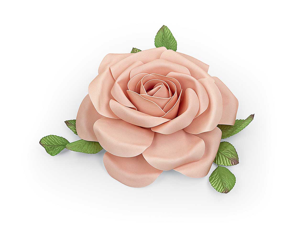 Rosa rosa 29024m