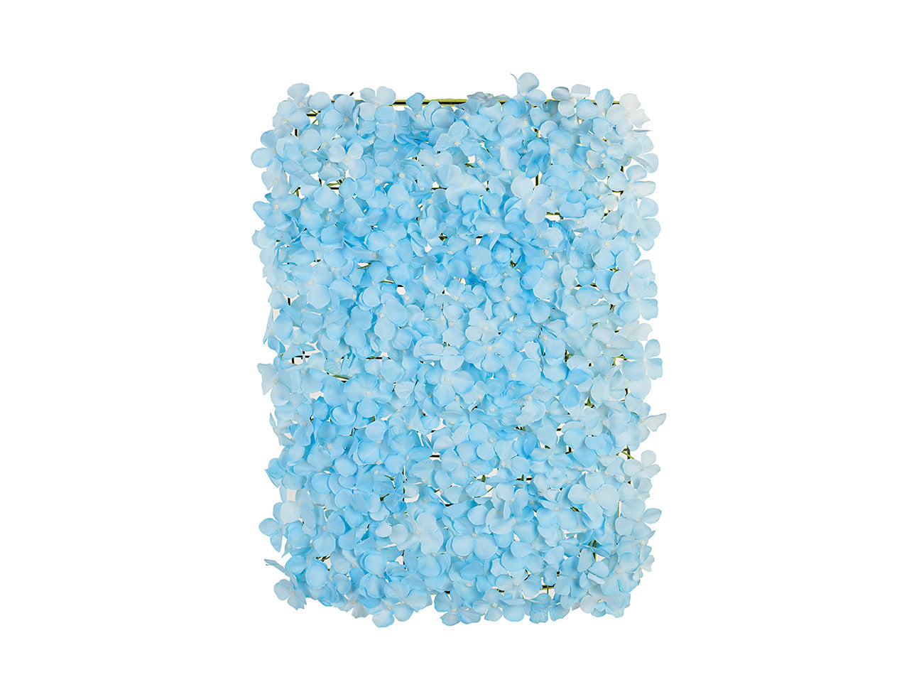 Pannello con ortensie azzurre 60x40cm
