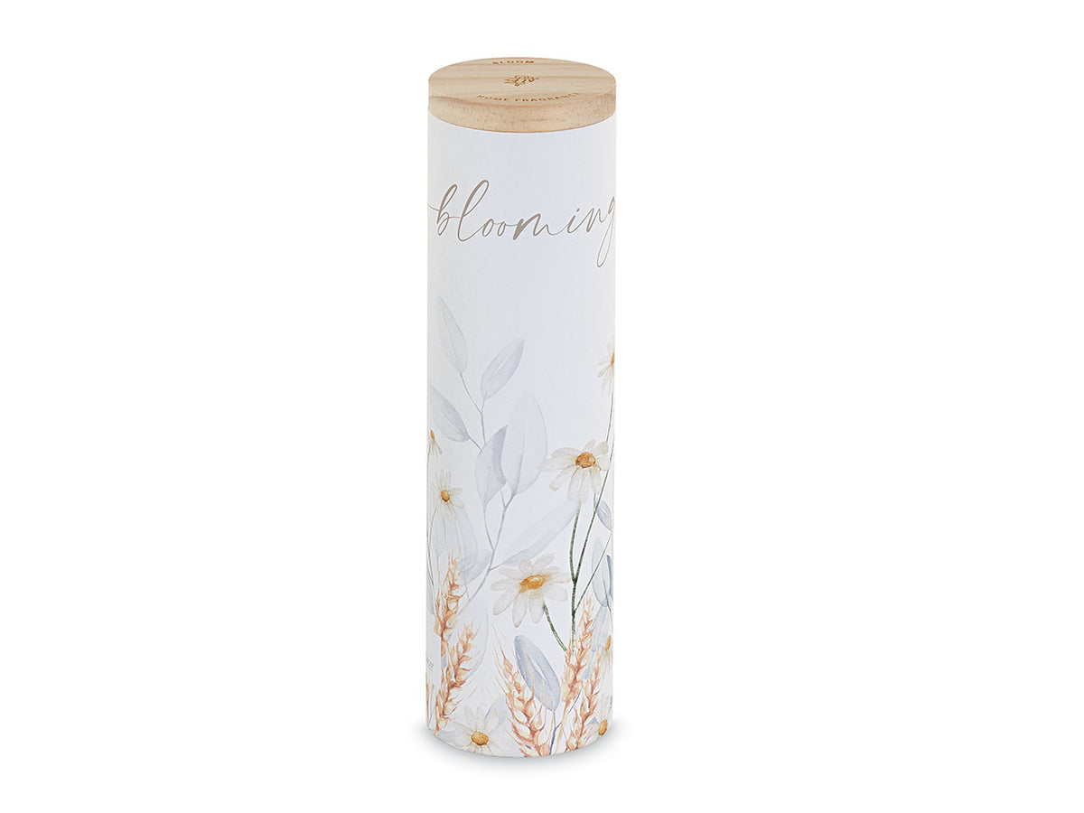 Diffusore camomilla 120ml + scatola
