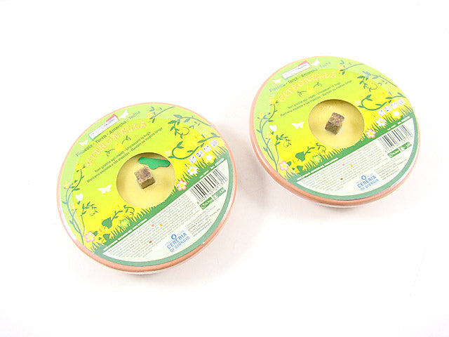 Citronella in coccio 15.5cm 4332dspn