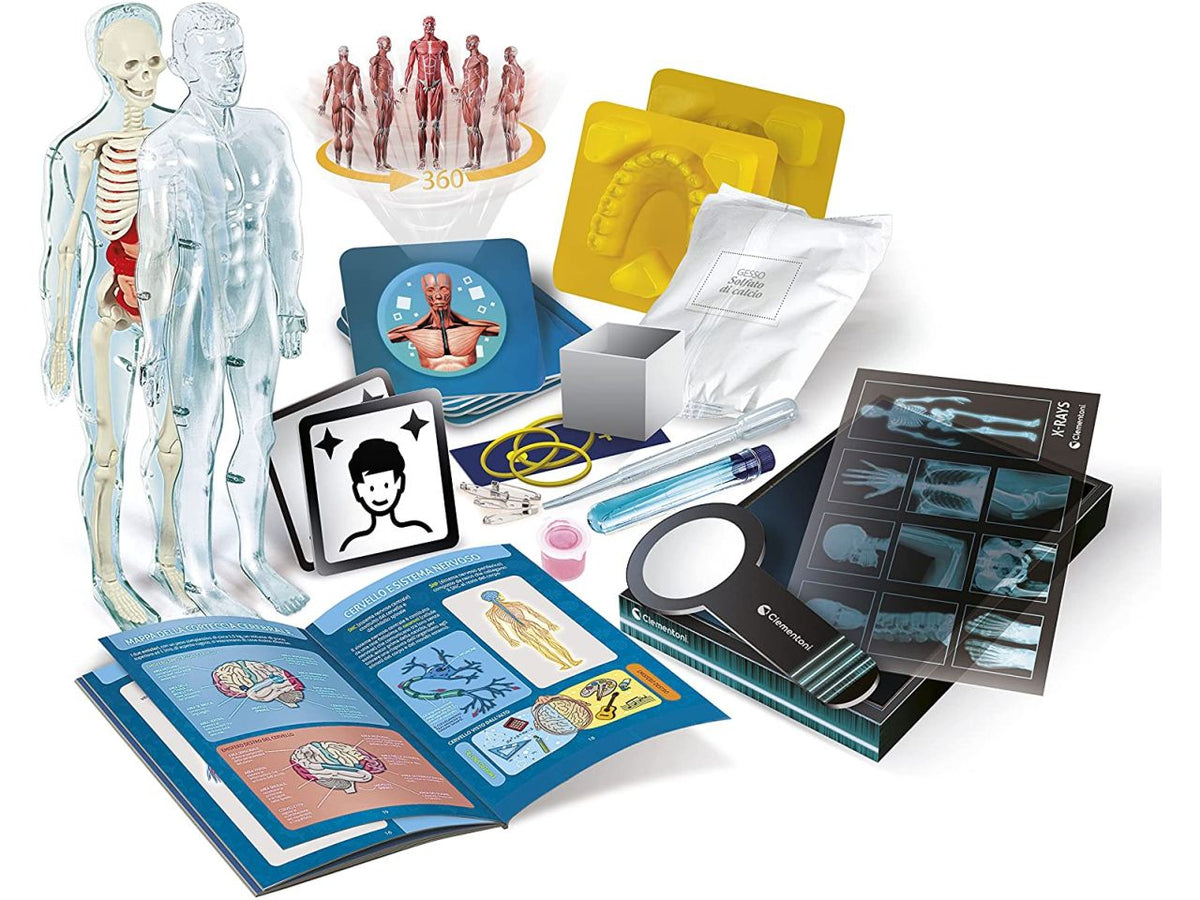 Clementoni Anatomia