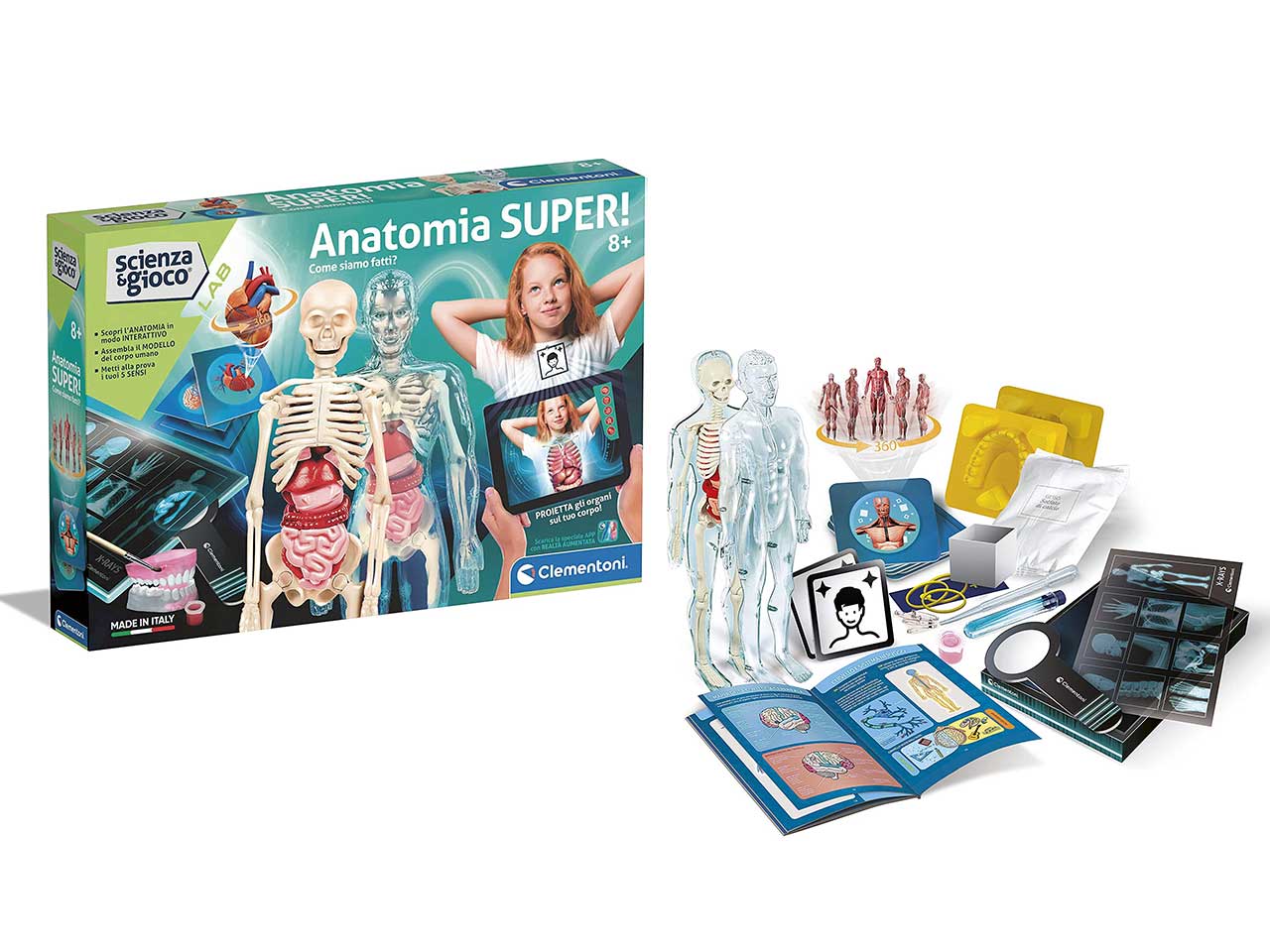 Clementoni Anatomia