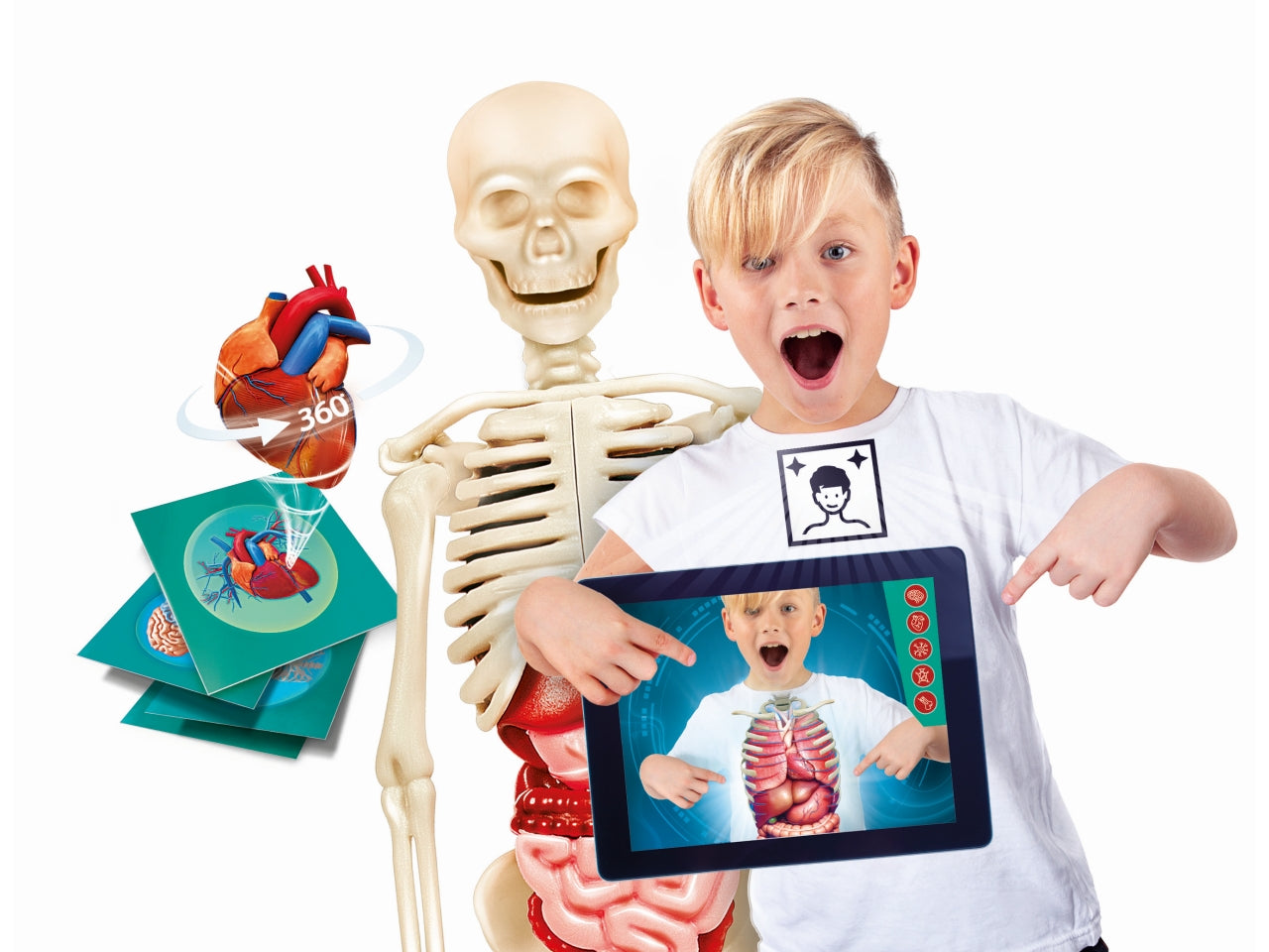 Scienza&gioco lab corpo umano