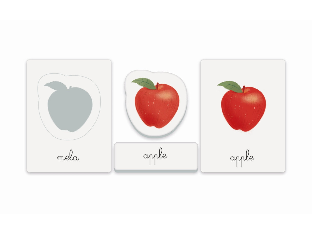 Montessori primo inglese