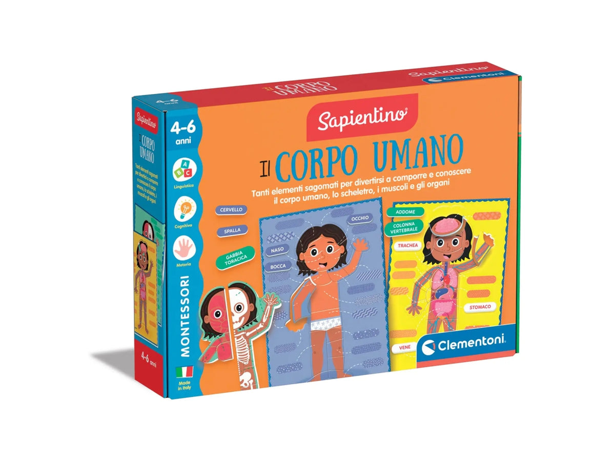 Montessori il corpo umano