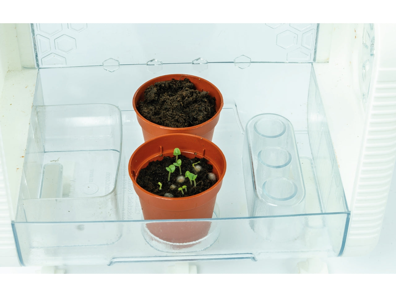 Clementoni Botanica Hitech