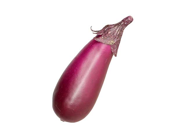 Melanzana 18cm 1mme21