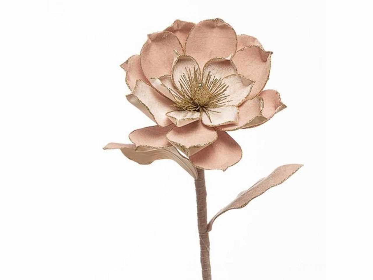 Magnolia velluto rosa antico 80cm 1nhz1886