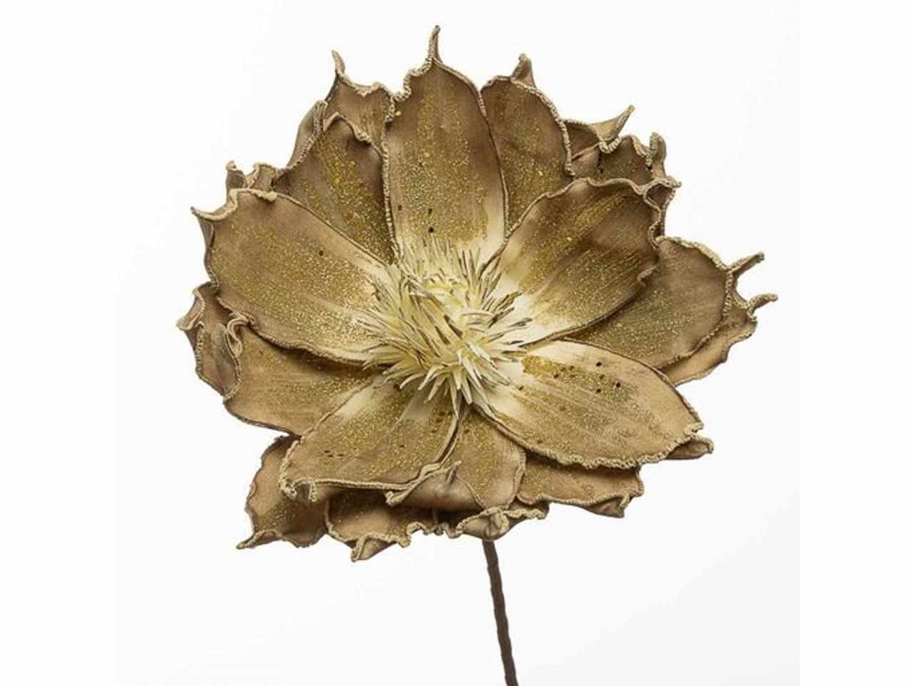 Magnolia 80cm beige1nhz1906
