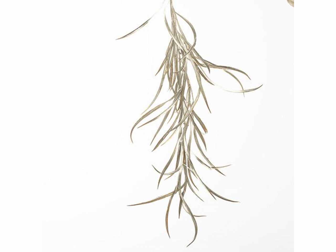 Ramo cadente erba 105cm chamapagne 1nhz1725