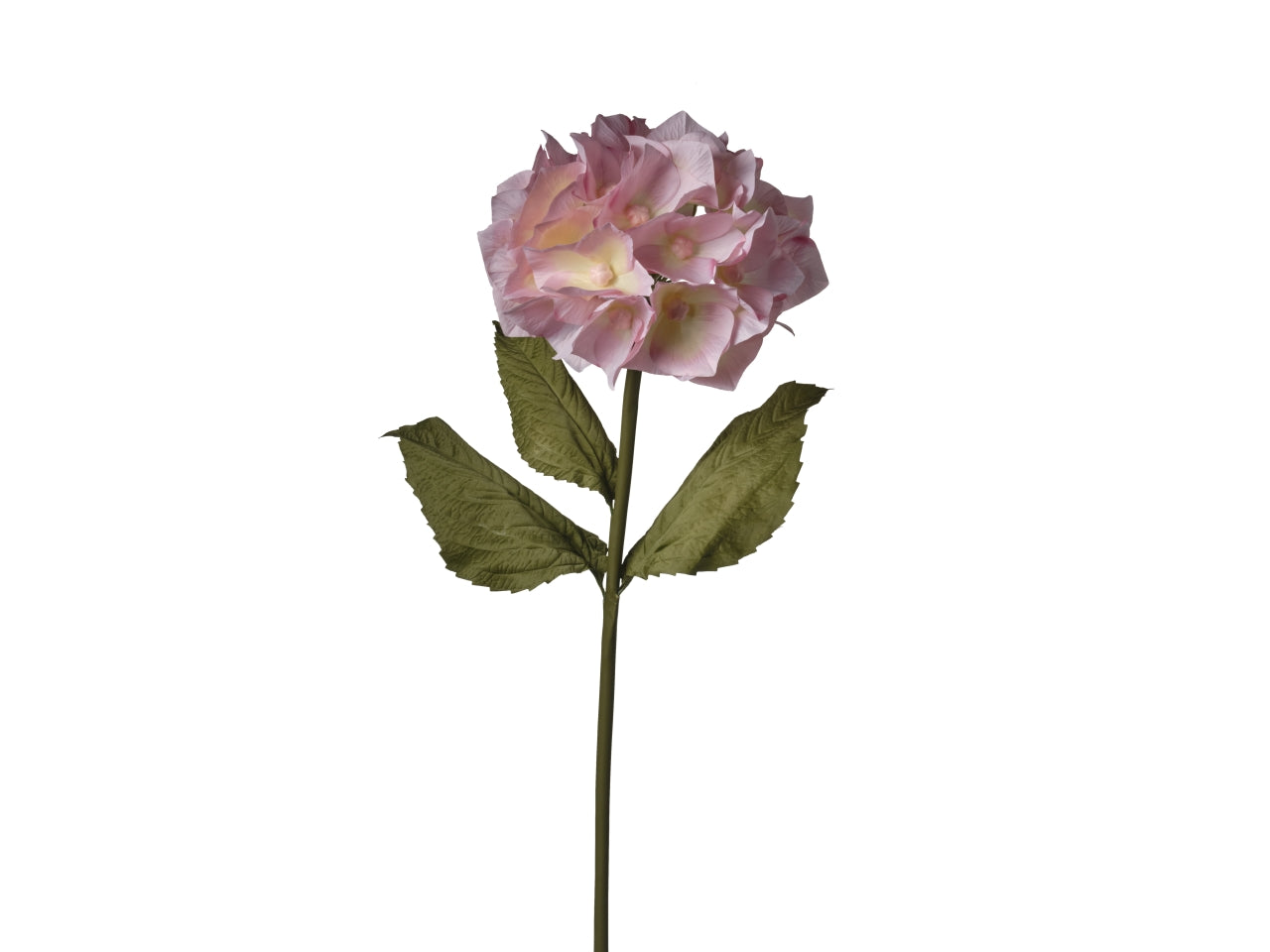 Ortensia crema artificiale stelo 3 foglie e 24 fiori, flessibile in plastica e tessuto sintetico, 100 cm - Conti
