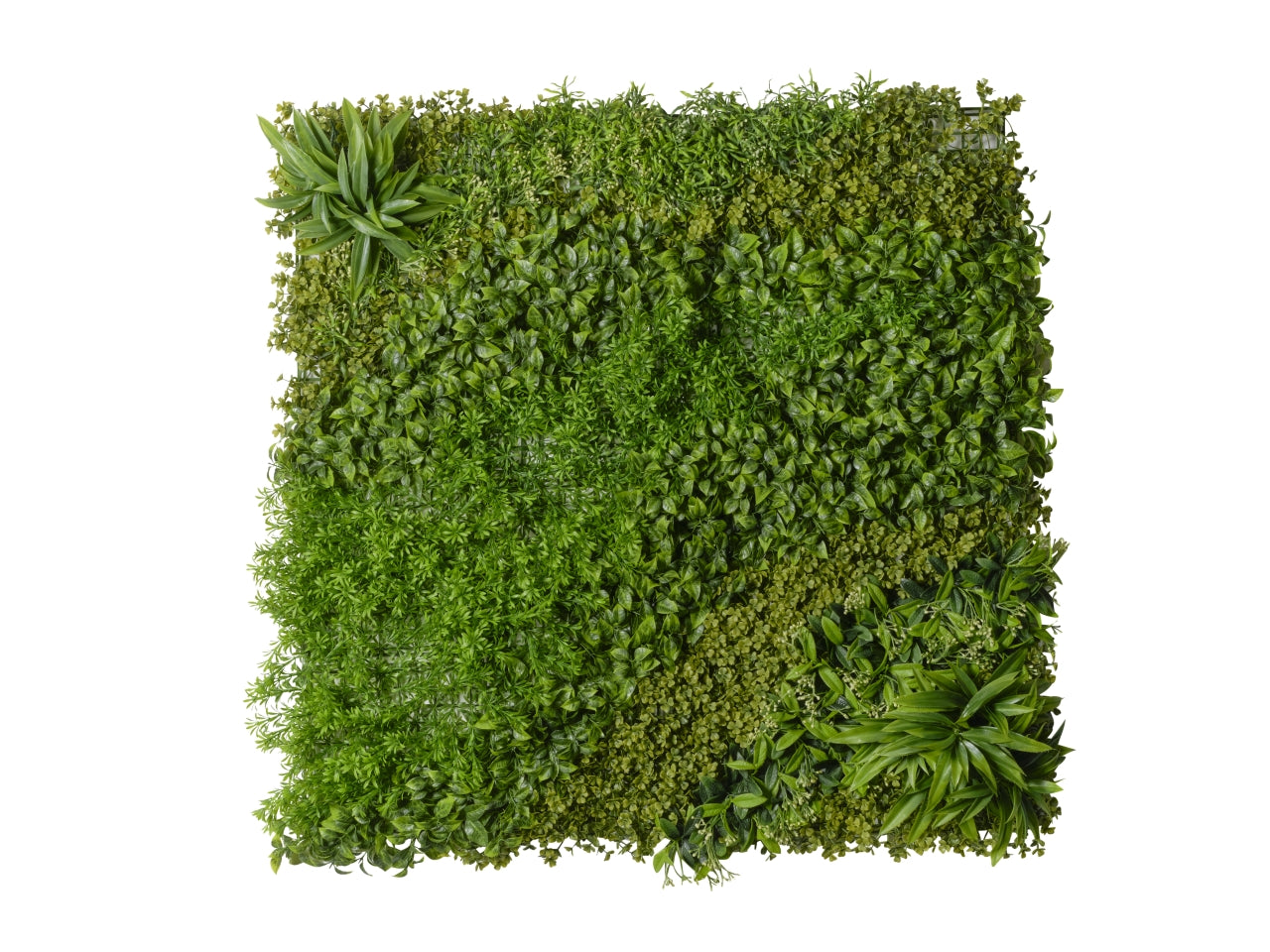 Siepe artificiale per parete giardino verticale muschio in plastica - 100x100cm - Conti