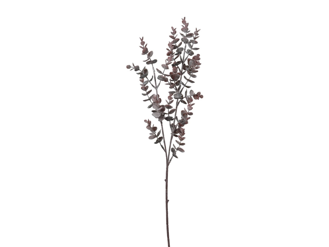 Ramo di eucalipto marrone 70cm