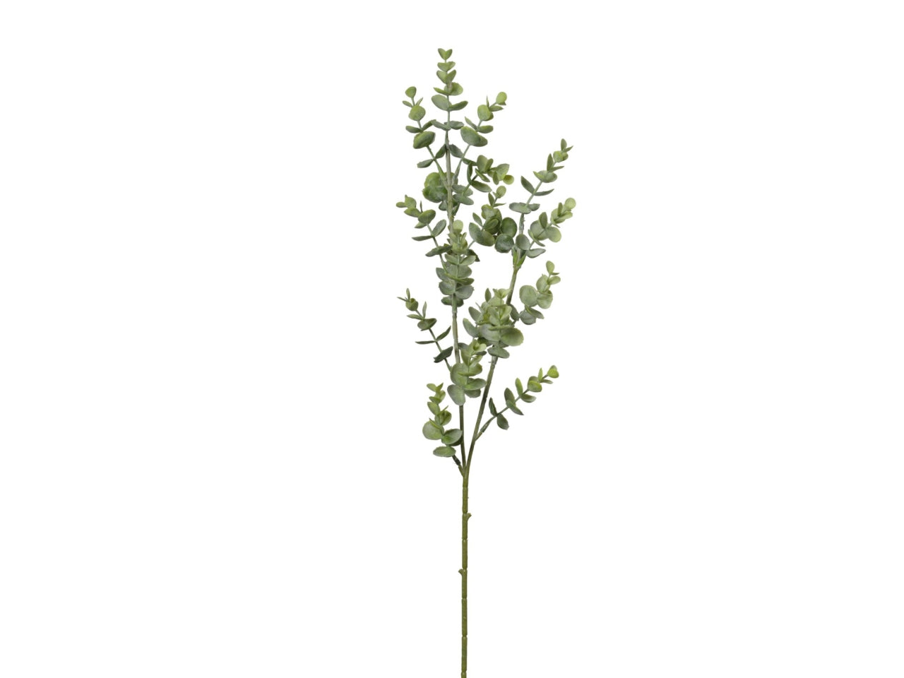 Ramo di eucalipto verde 70cm