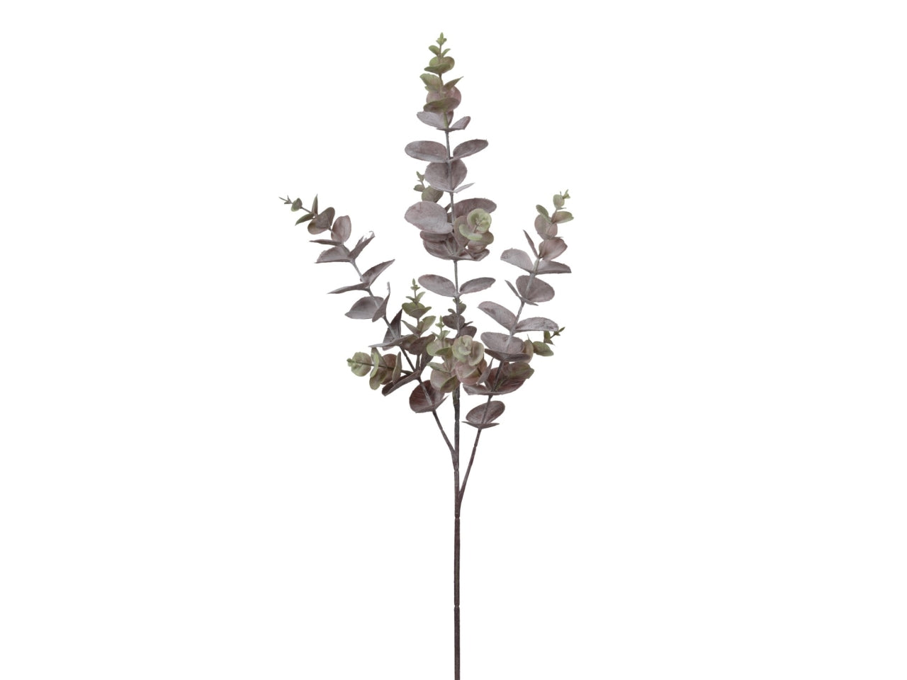 Ramo di eucalipto verde e bordeaux 74cm