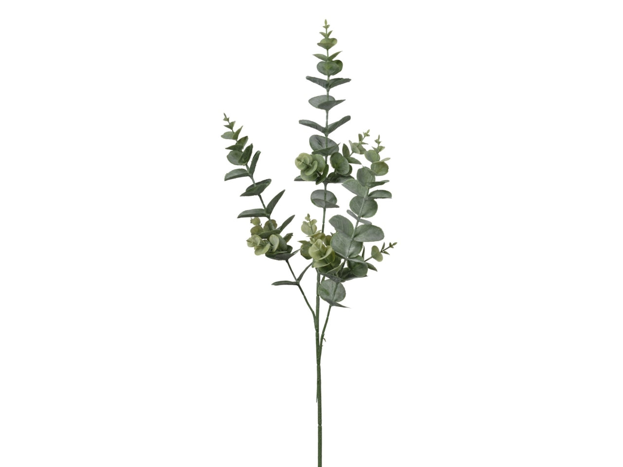Ramo di eucalipto verde 74cm