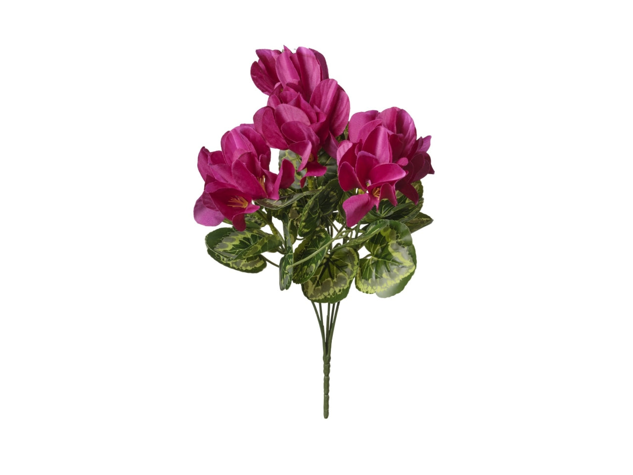 Mazzo di ciclamini fucsia 35cm