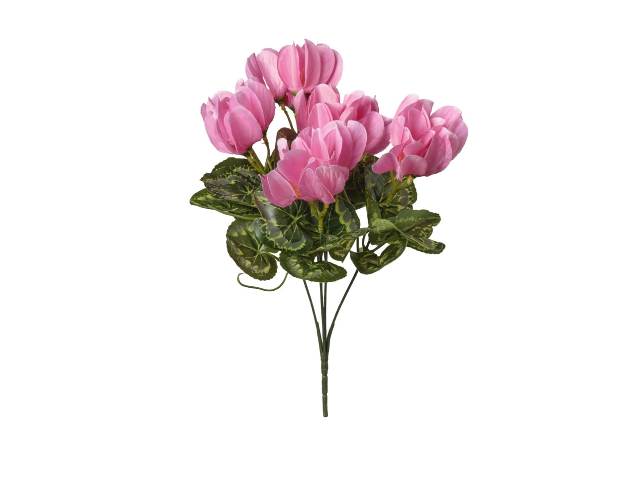 Mazzo di ciclamini rosa 35cm