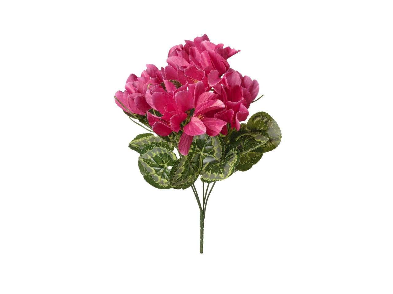 Mazzo di ciclamini rosa scuro 35cm