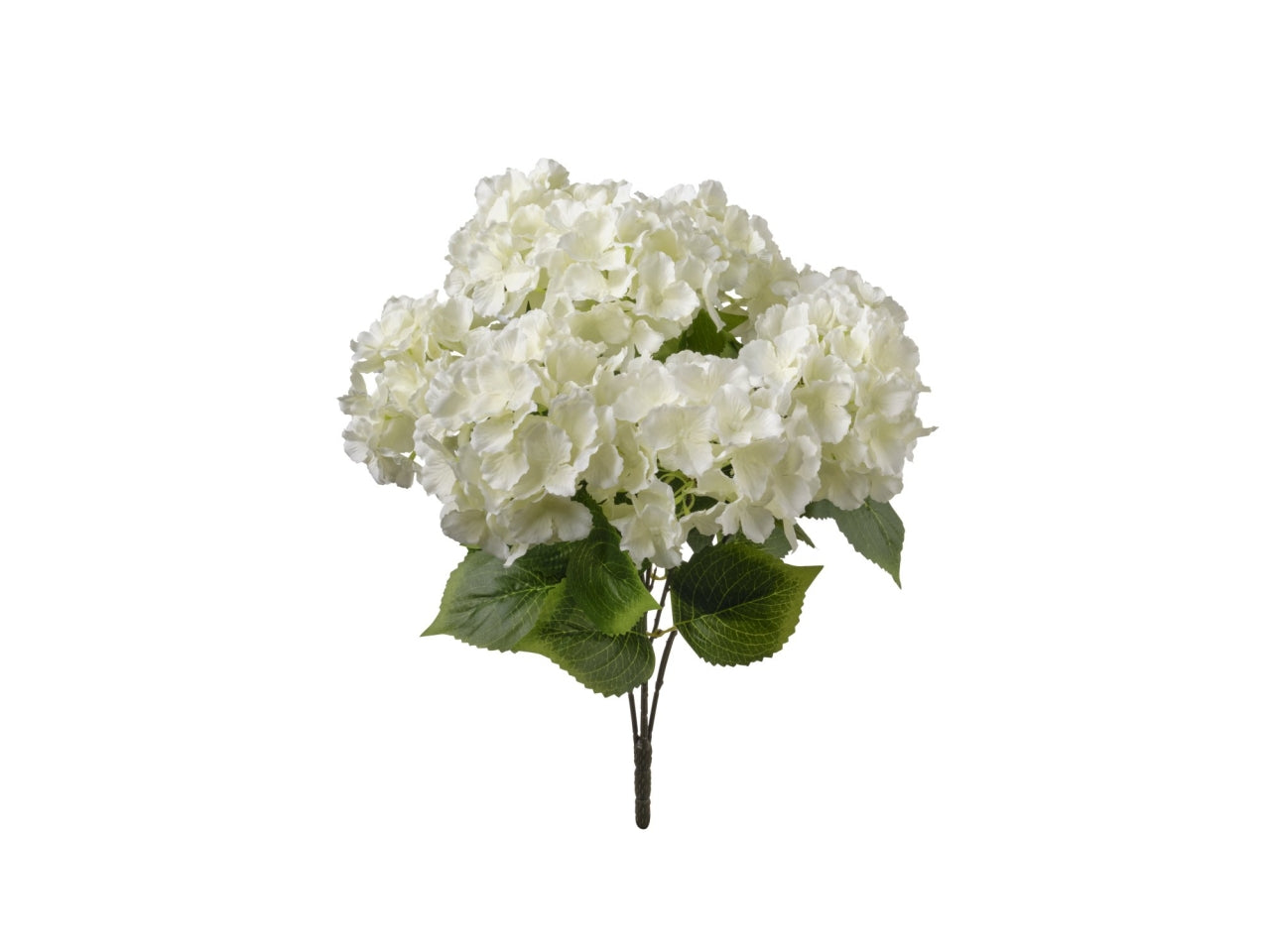 Mazzo ortensie crema 50cm