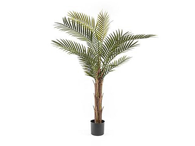 Palma in vaso 150cm 03587